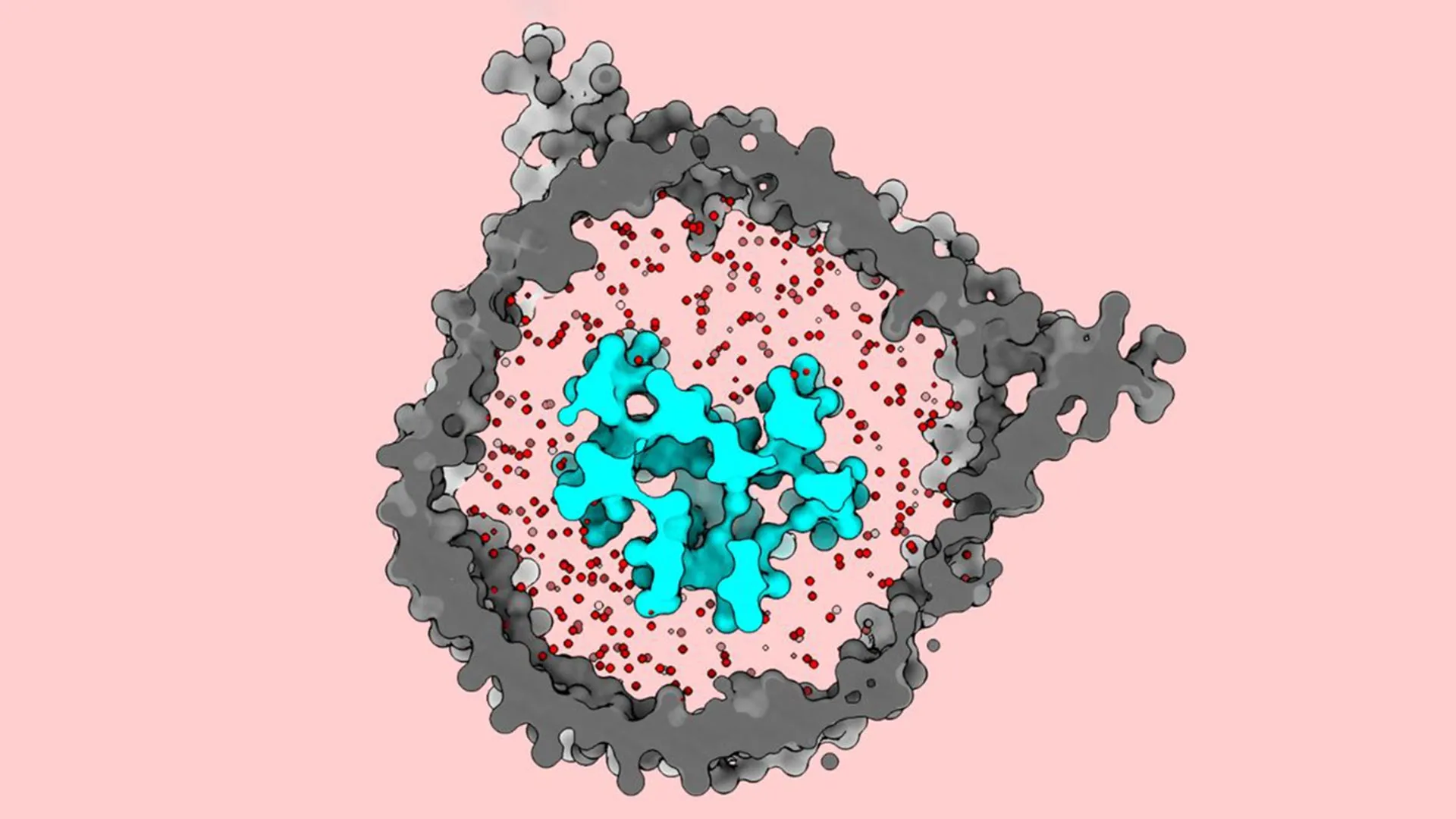 Um interruptor oculto de células T pode ampliar a imunoterapia contra o câncer para mais pessoas
