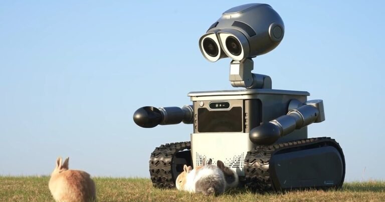 W1: O Robô Assistente Doméstico Inspirado no WALL