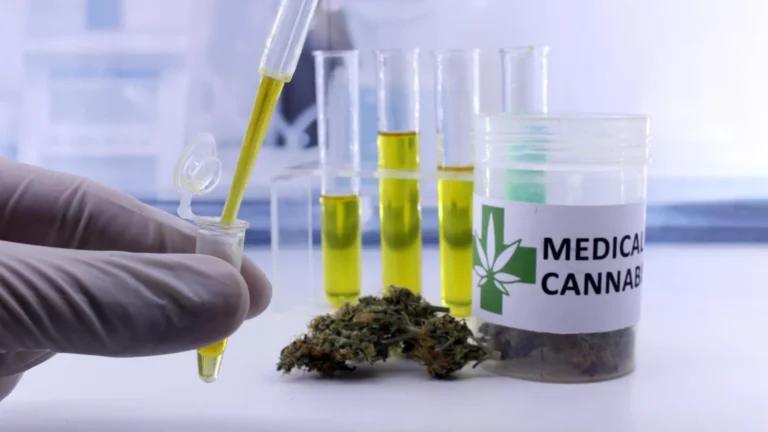 Cientistas revelam os verdadeiros benefícios e riscos ocultos do cannabis medicinal