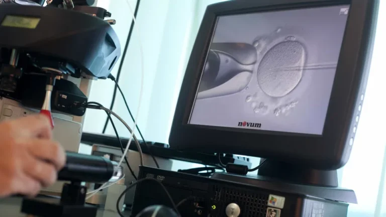 Dúvidas nas Primeiras Três Consultas para Inseminação Fora do Tempo Máximo