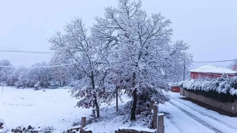 Paisagens do País Cobertas de Branco no Primeiro Dia do Inverno
