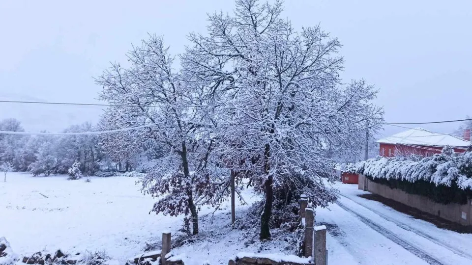 Paisagens do País Cobertas de Branco no Primeiro Dia do Inverno