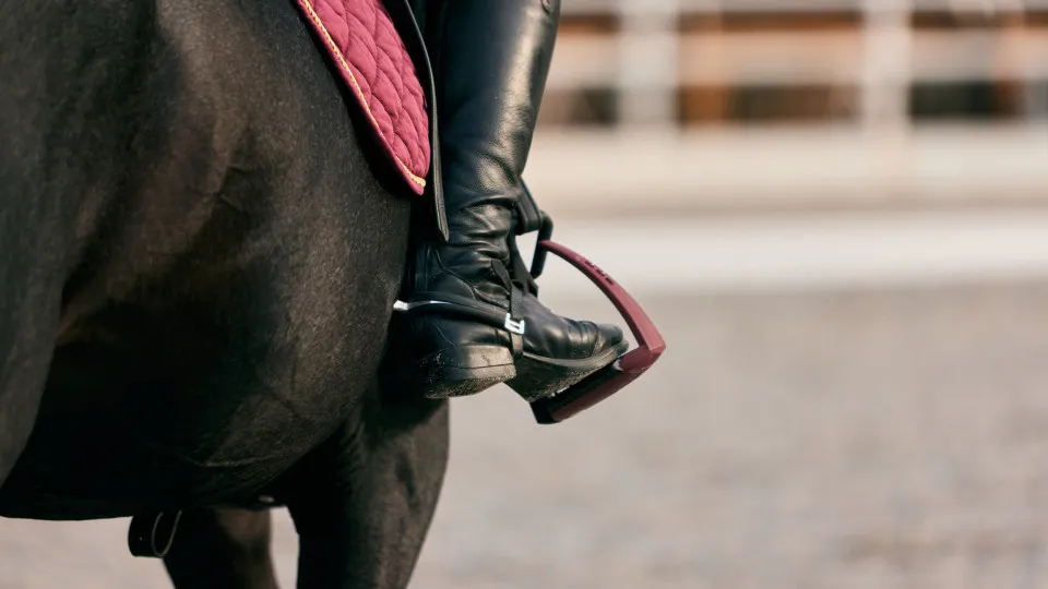Cavaleiro detido por pedofilia candidatou