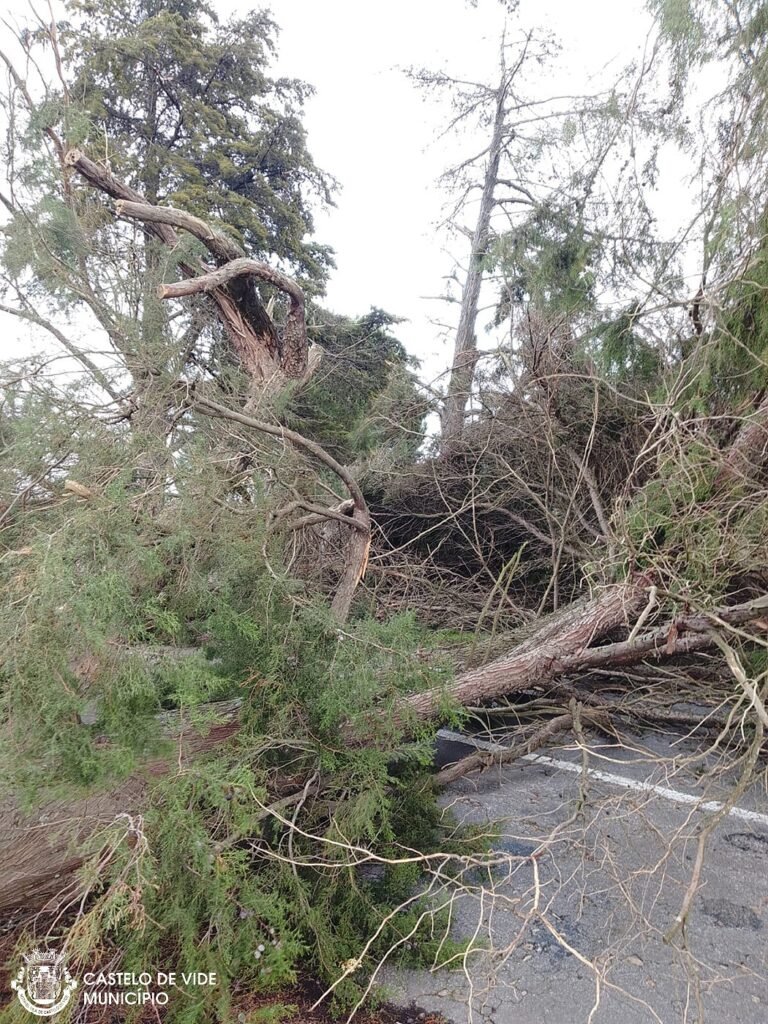 Castelo de Vide: Avaliação dos Danos Causados pela Tempestade Kristin