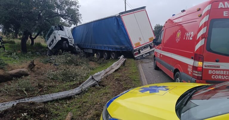 Motorista de caminhão morre em despiste