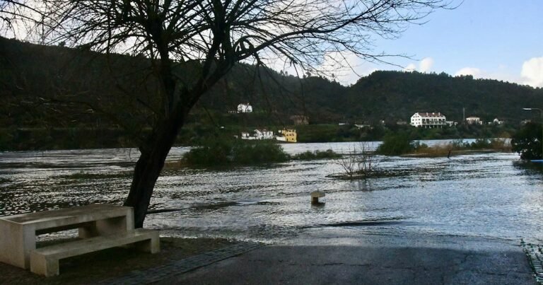 Imported Article – 2026-02-14 05:45:19