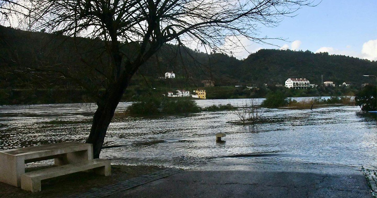 Imported Article – 2026-02-14 05:45:19