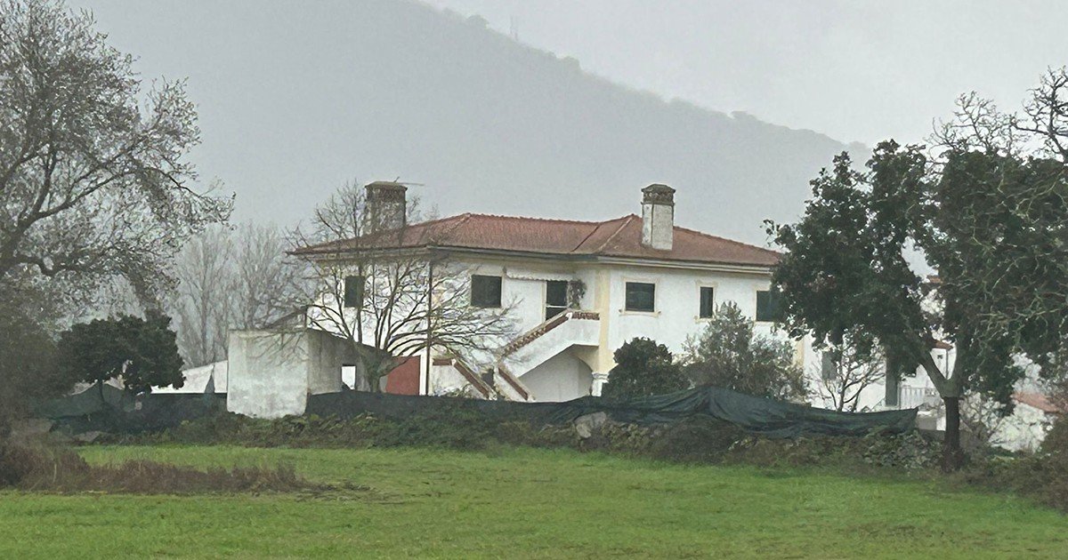 Homicídio na Vargem: O Caso Portalegre