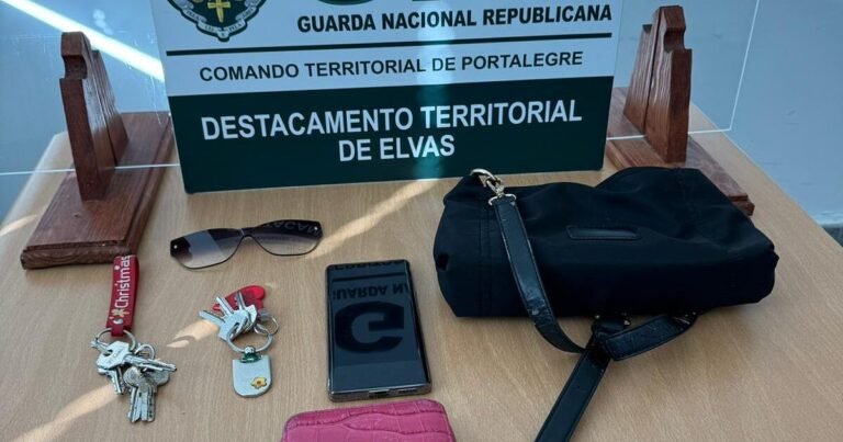 Campo Maior: GNR Recupera Bens Furtados em Comércio