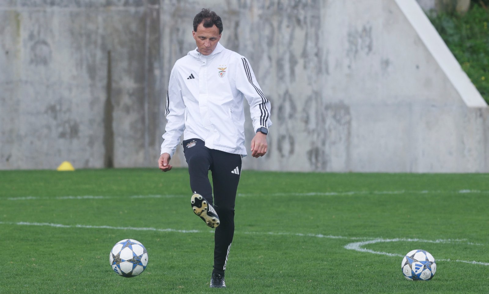 Benfica superou 2 obstáculos para triunfar e avançar na Youth League após vencer o Slavia Praga