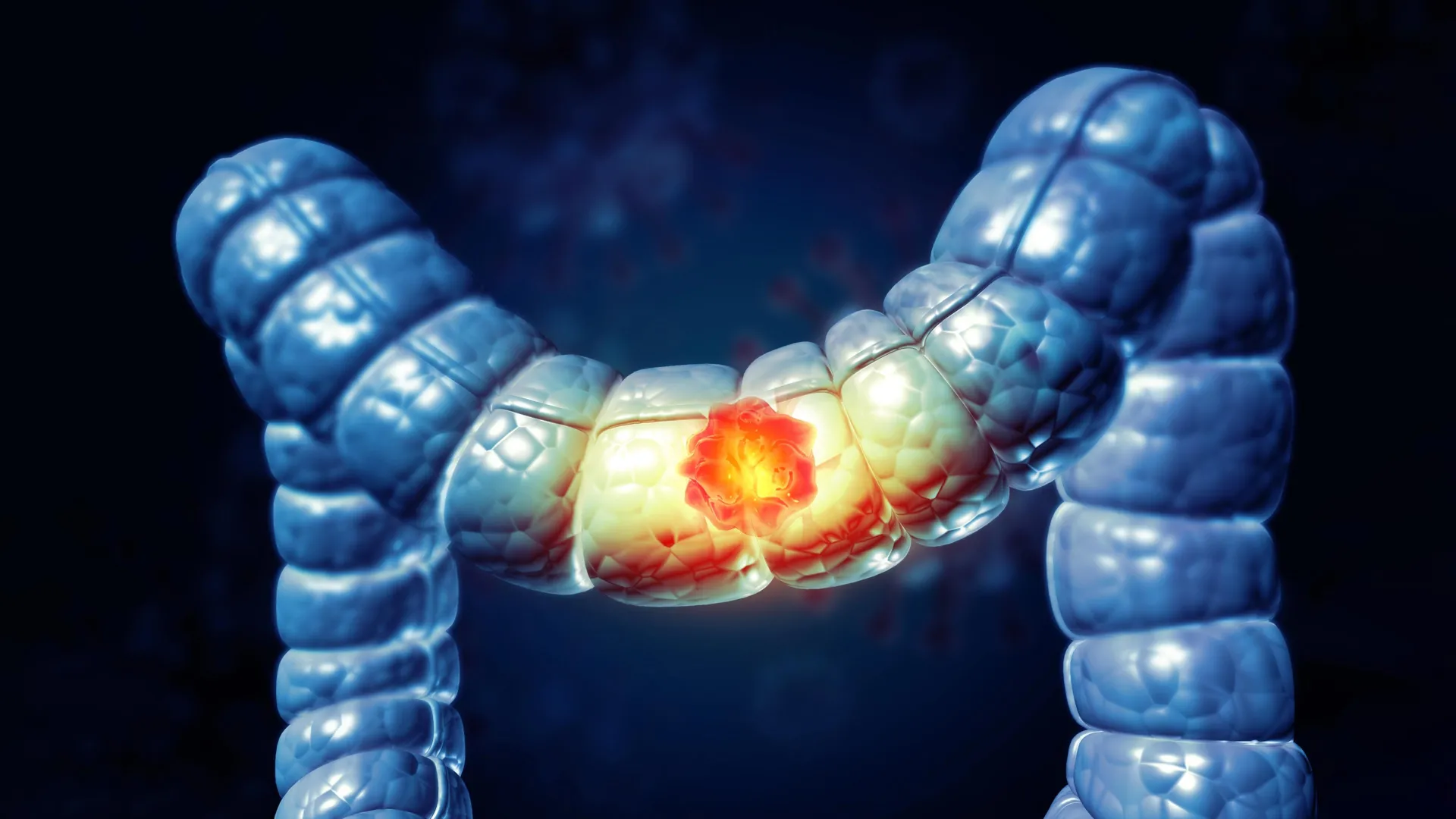 Imported Article – 2026-02-16 20:30:39