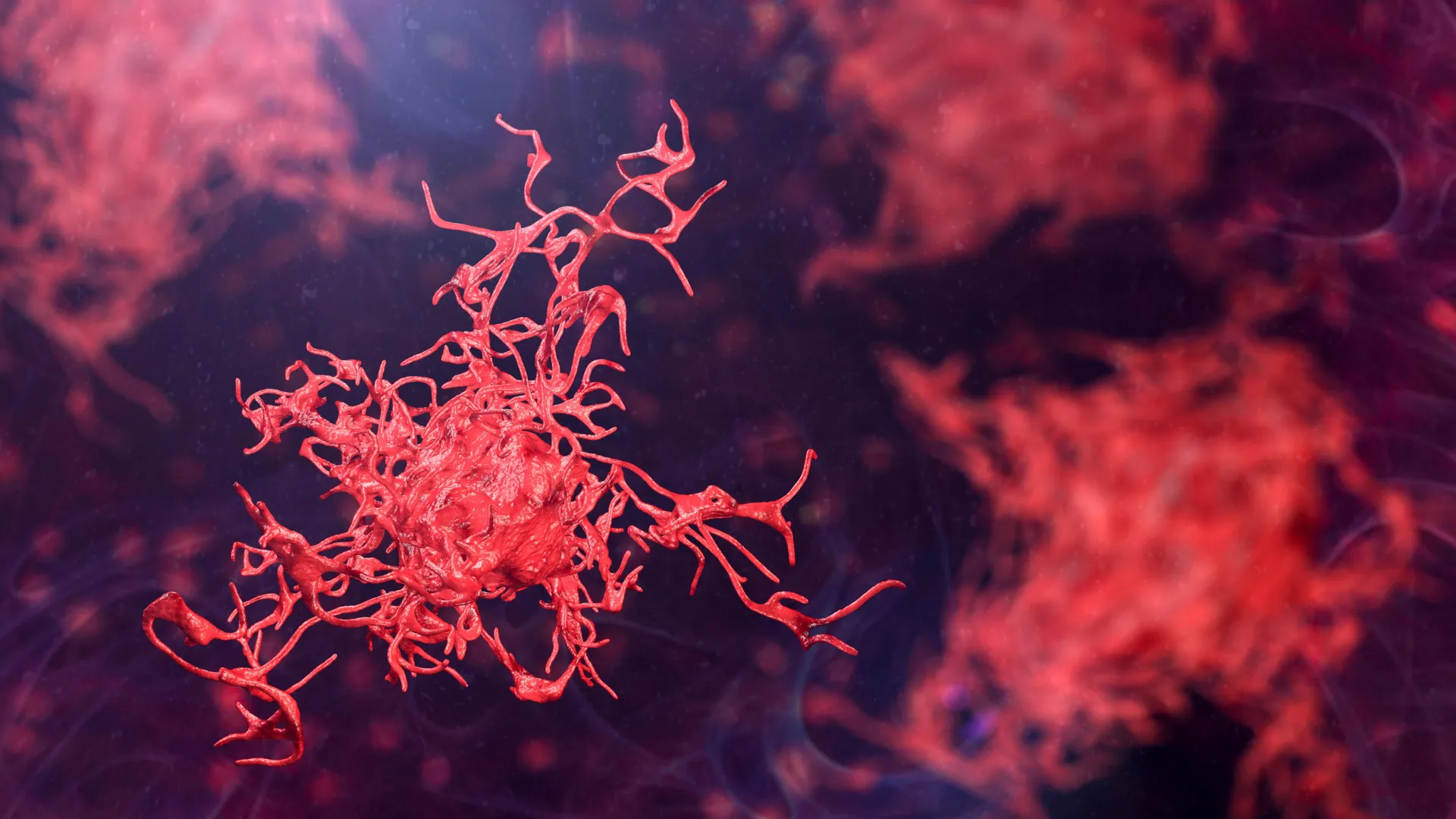 Cientistas pedem ação urgente devido à propagação global de amebas perigosas