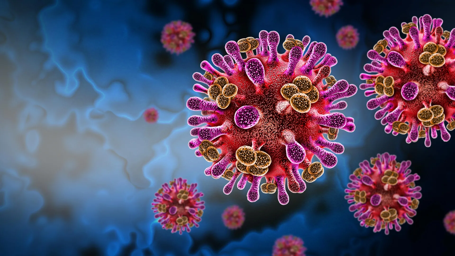 Um vírus de morcego oculto está infectando humanos