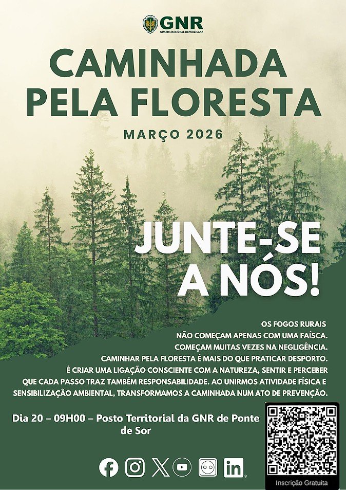 GNR Promove Caminhada em Ponte de Sor para Comemorar o Dia da Árvore