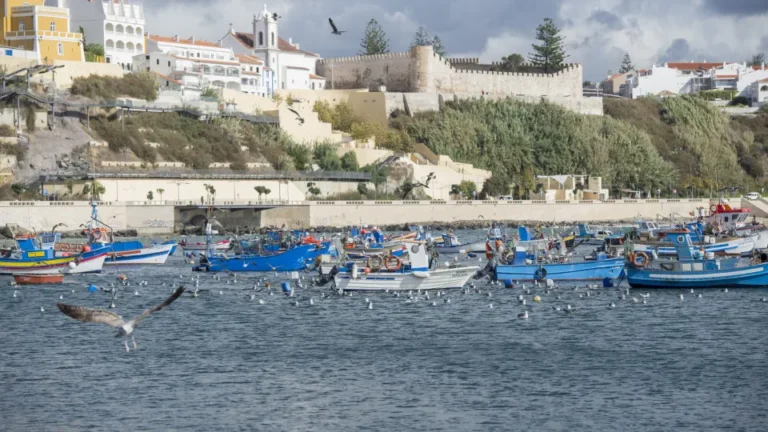Governo inicia estudos para dessalinização de água do mar em Sines