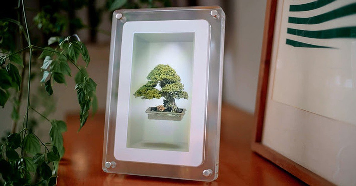 Musubi: a primeira moldura holográfica que transforma fotografias em memórias 3D