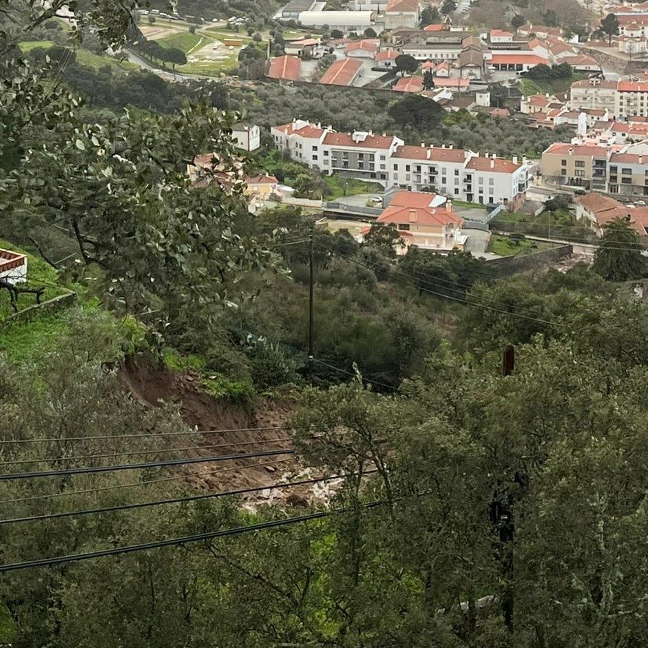 Portalegre: Quercus avalia os impactos da tempestade