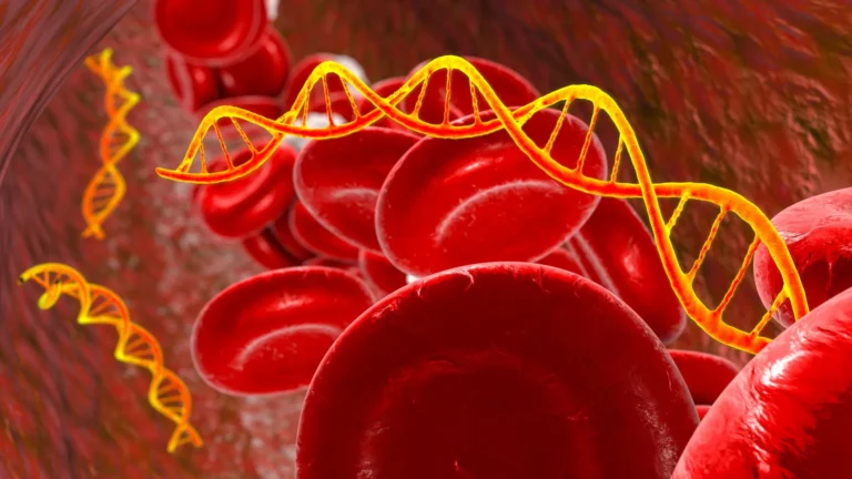 Imported Article – 2026-03-02 06:45:25