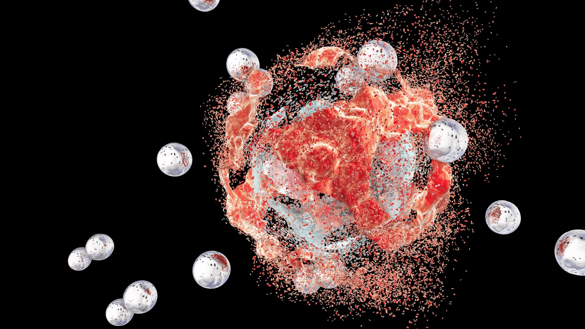 Imported Article – 2026-03-21 21:00:13