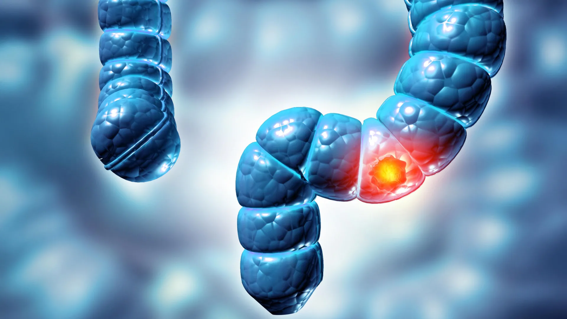 Imported Article – 2026-03-17 01:30:09