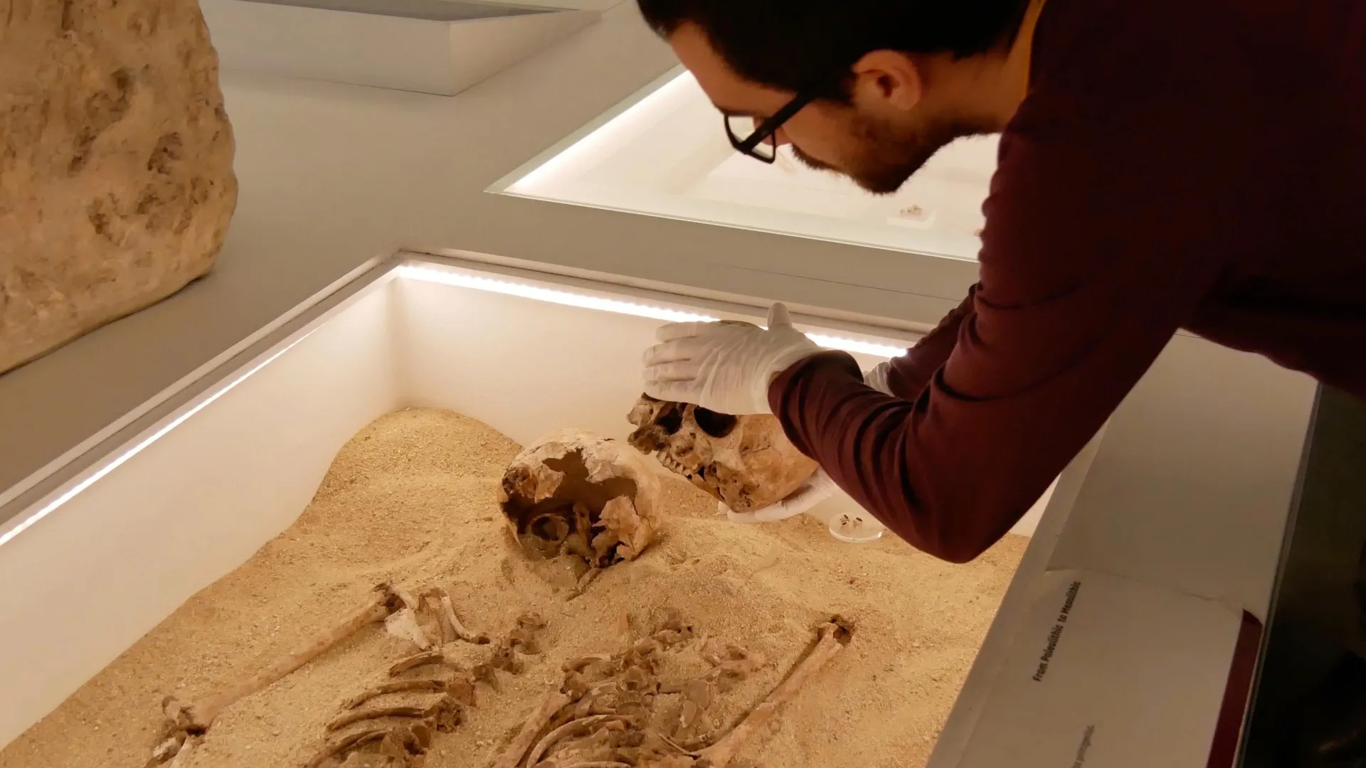 DNA antigo resolve mistério de distúrbio genético raro de 12.000 anos