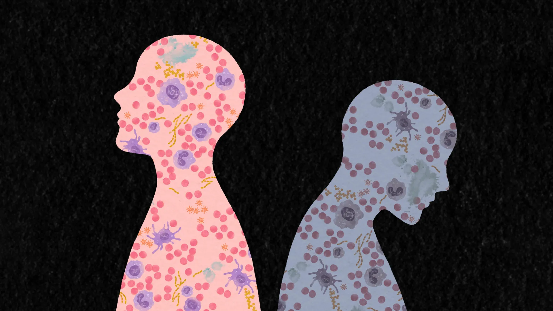 Cientistas descobrem como as experiências de vida reescrevem o sistema imunológico