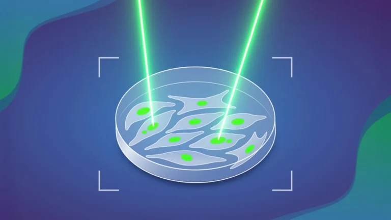 Imported Article – 2026-03-21 12:45:10