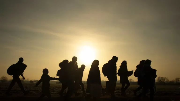 Observatório das Migrações Identifica Inconsistências nos Números de Imigrantes