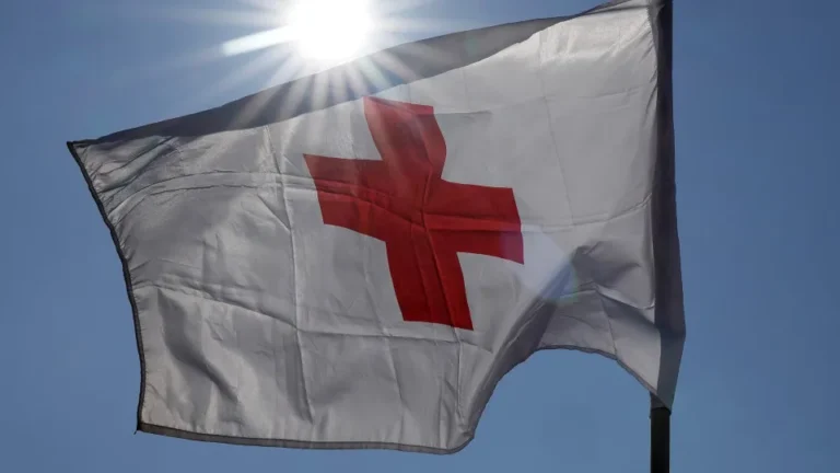 Cruz Vermelha apoia 2.339 migrantes em 2025 através de dois projetos