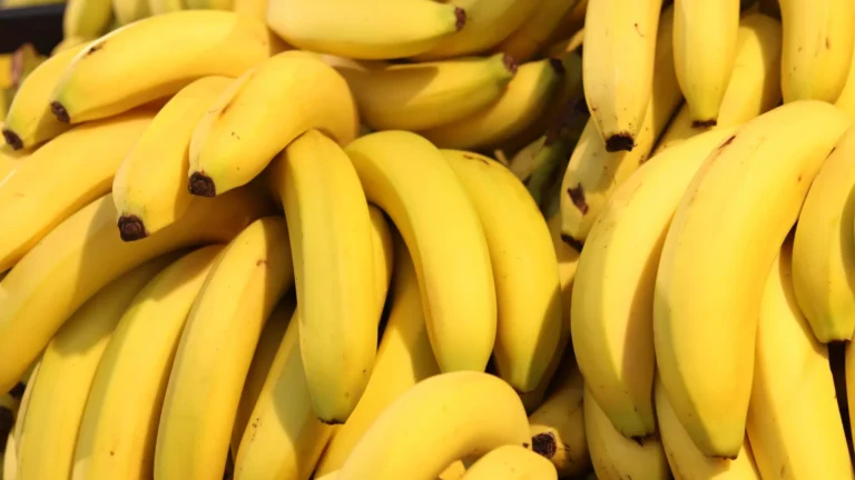 Metais tóxicos encontrados em bananas após desastre de mineração no Brasil
