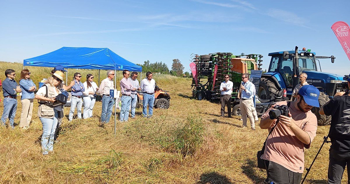 InovTechAgro: Avaliação Excelente no Setor Agroindustrial