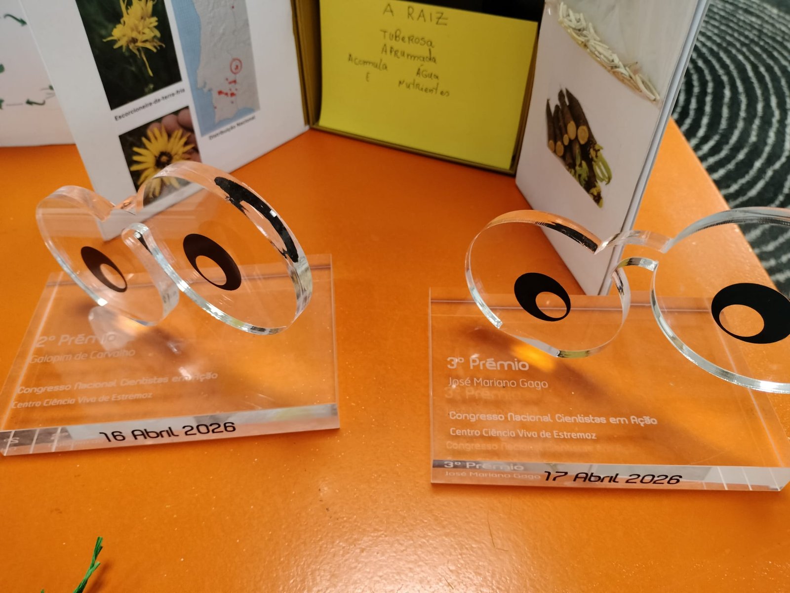 Campo Maior: Alunos do CTAN Recebem Prêmios em Congresso Nacional