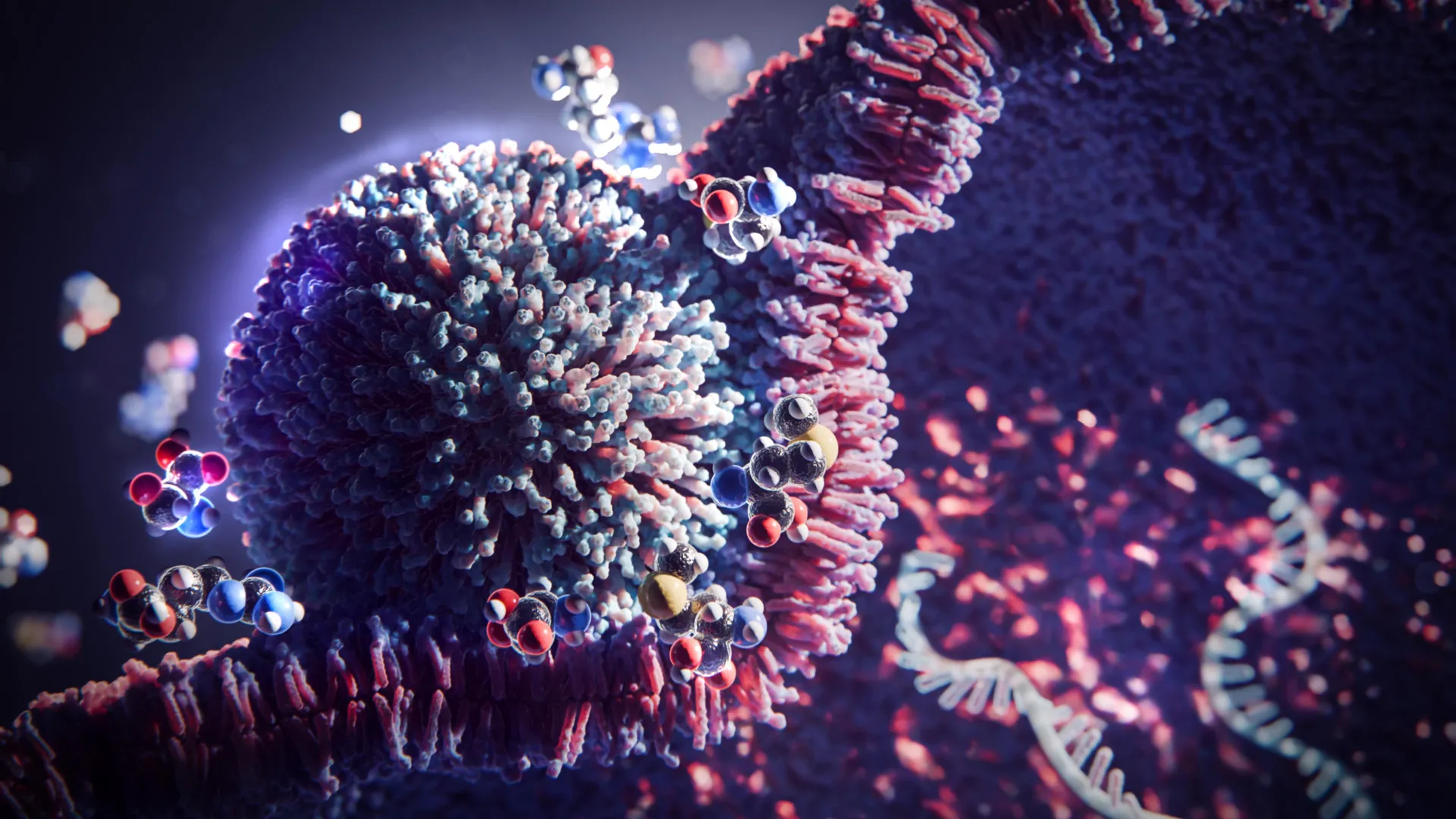 Este simples truque de 3 aminoácidos aumenta a terapia de mRNA em 20 vezes