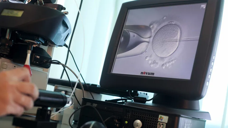 Duas em Cada Três Primeiras Consultas para Inseminação Fora do Tempo Máximo