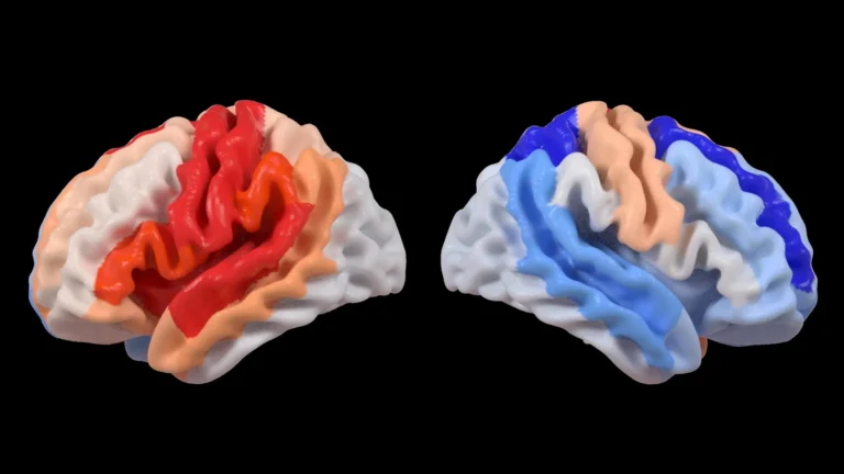 Um AVC desencadeia uma mudança cerebral oculta que se assemelha a rejuvenescimento