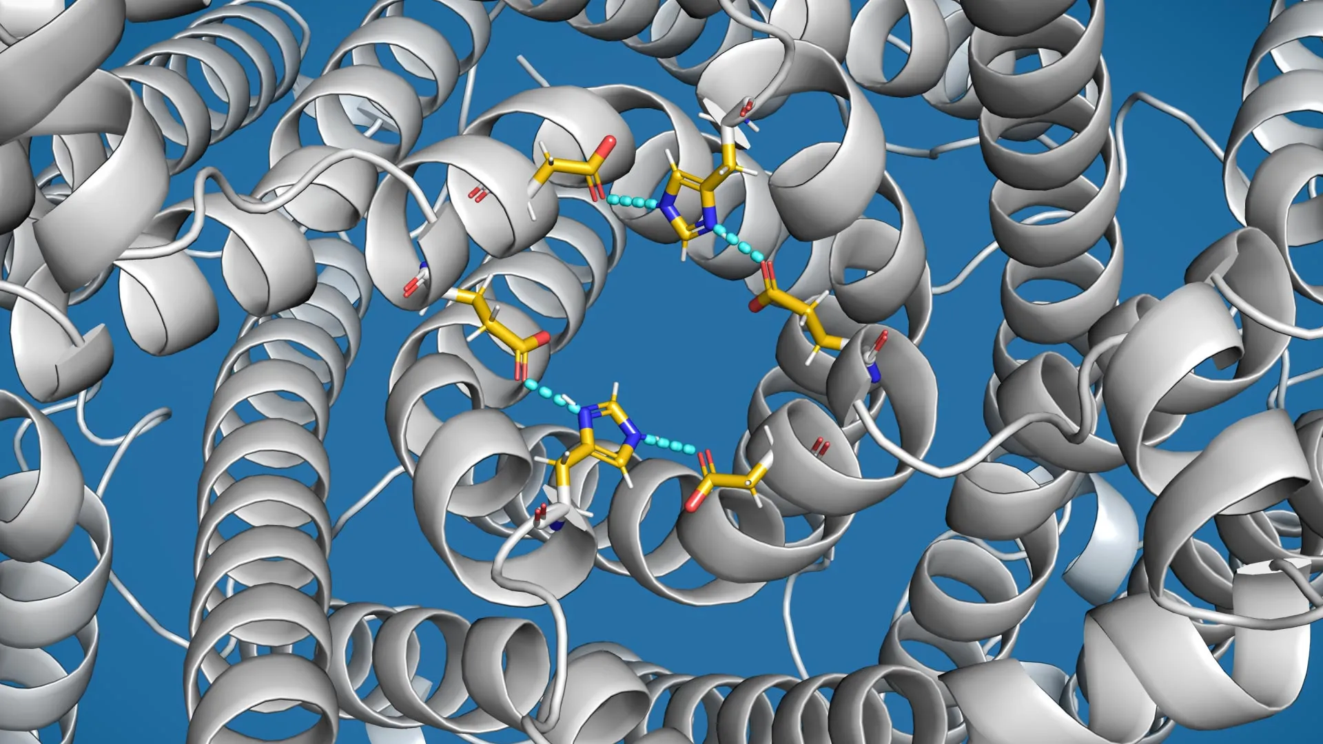 Cientistas descobrem "válvula de transbordamento" nas células relacionada à Doença de Parkinson