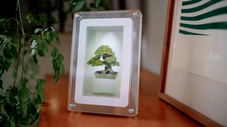 Musubi: a primeira moldura hologr&aacute;fica que transforma fotografias em mem&oacute;rias tridimensionais