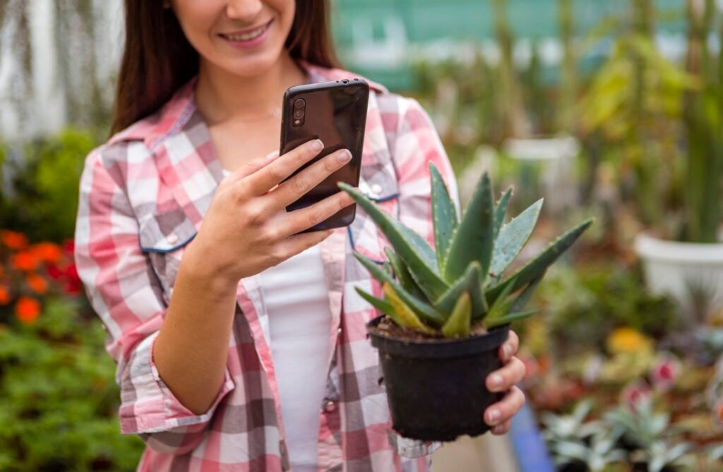 PictureThis: o aplicativo que identifica plantas com uma simples foto
