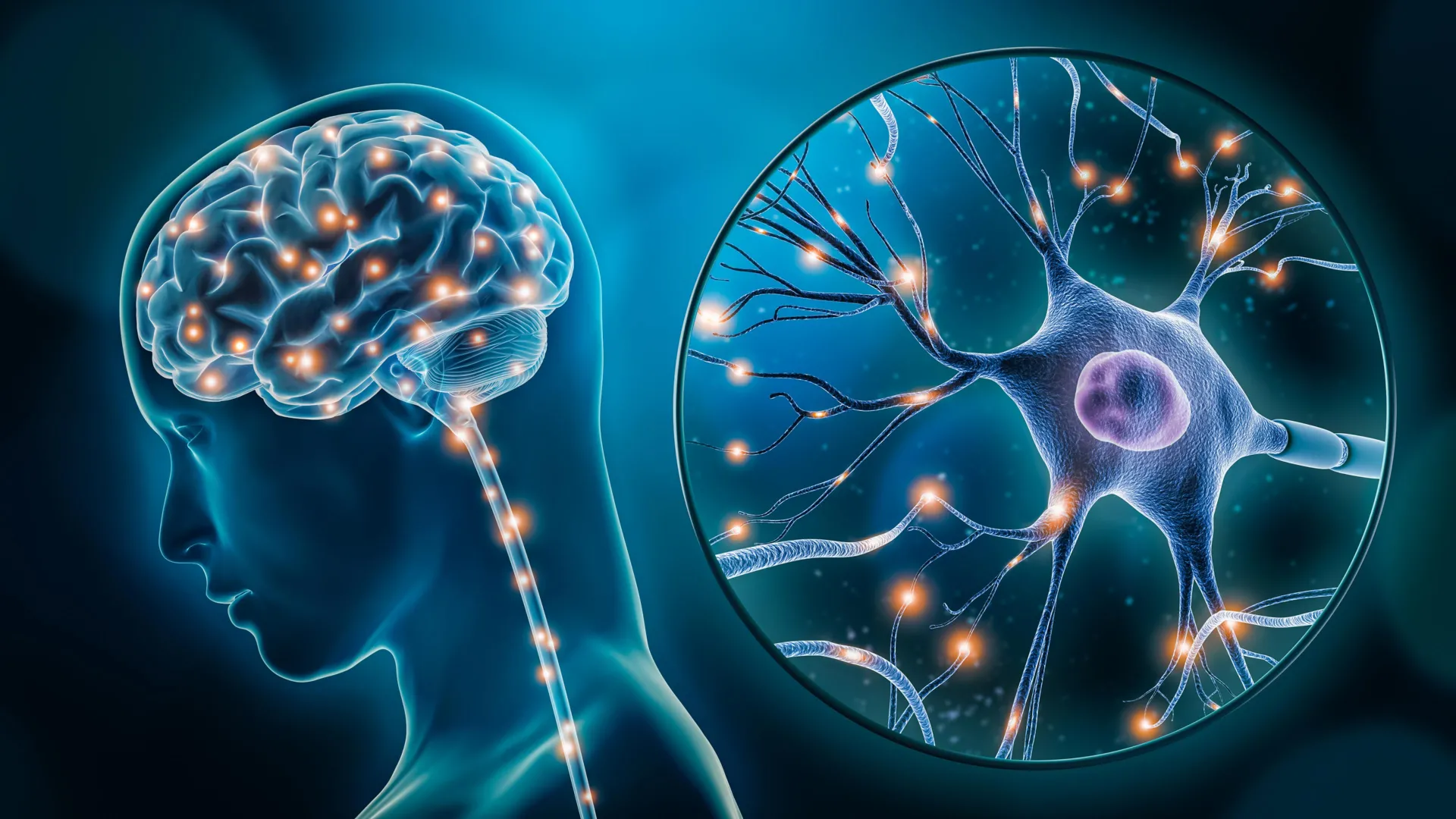Cientistas identificam pela primeira vez as células cerebrais responsáveis pela depressão