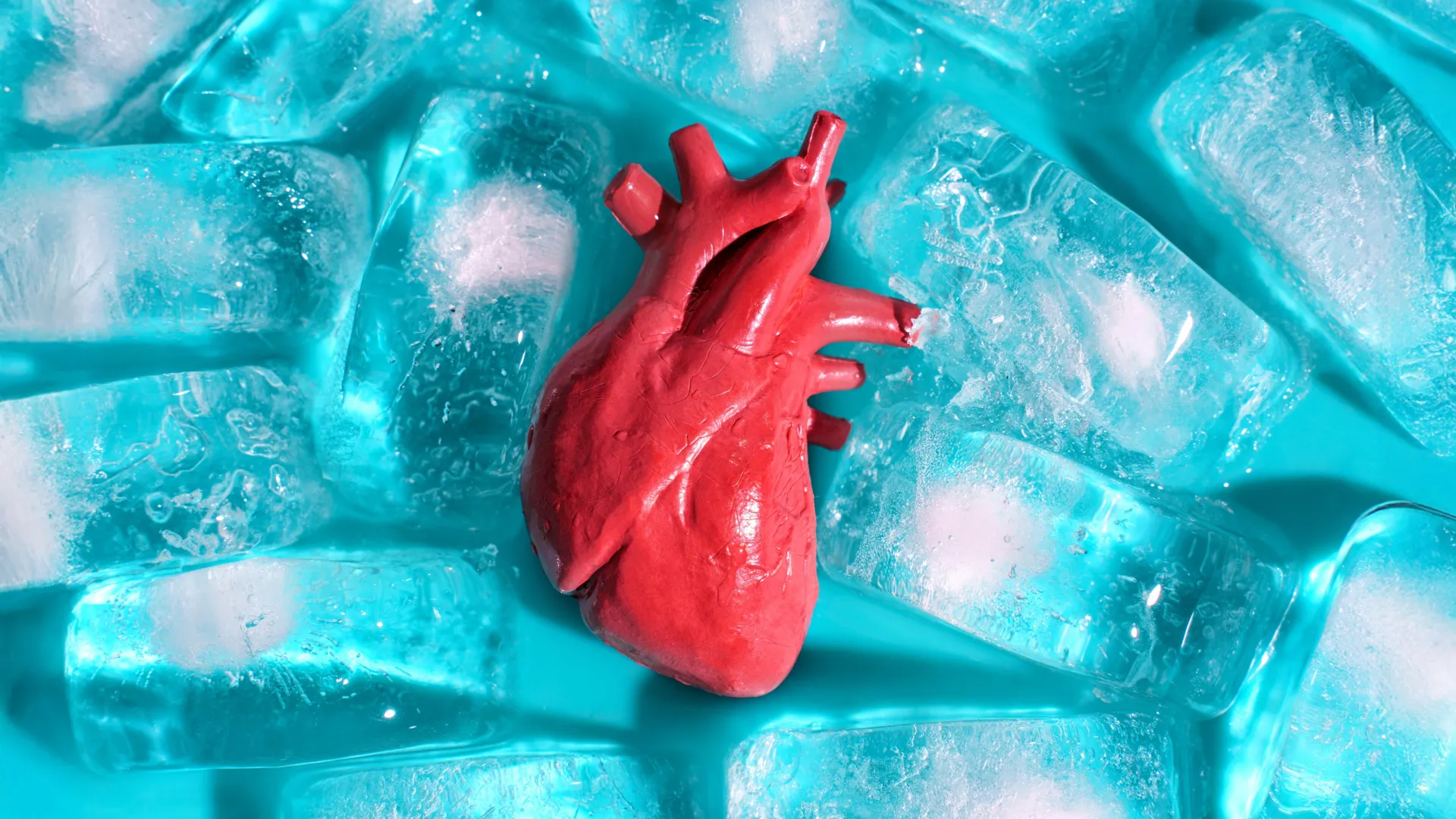 Cientistas descobrem como congelar órgãos para transplante sem rachaduras