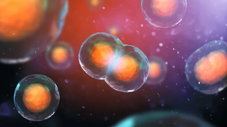 Cientistas descobrem por que algumas células com DNA duplicado se recusam a morrer