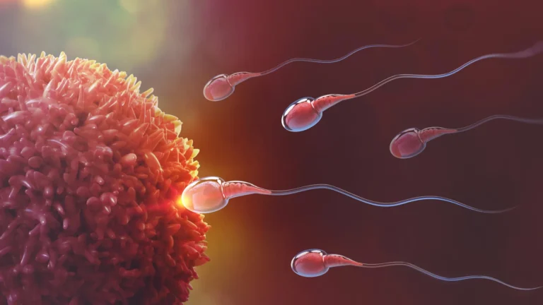 Cientistas descobrem contraceptivo masculino reversível que interrompe a produção de espermatozoides