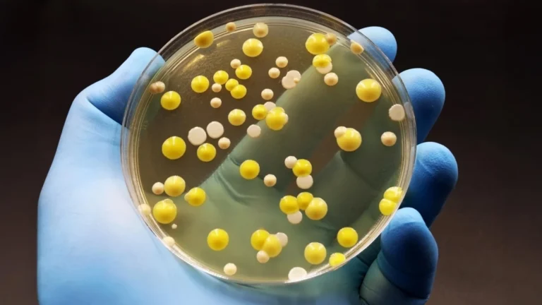 O grafeno elimina bactérias prejudiciais "superbactérias" mas preserva células humanas