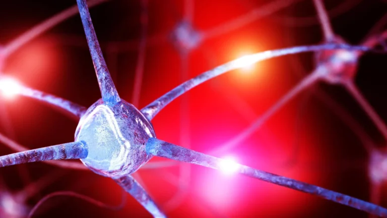 Cientistas descobrem défice oculto de nutrientes no cérebro que pode alimentar a ansiedade