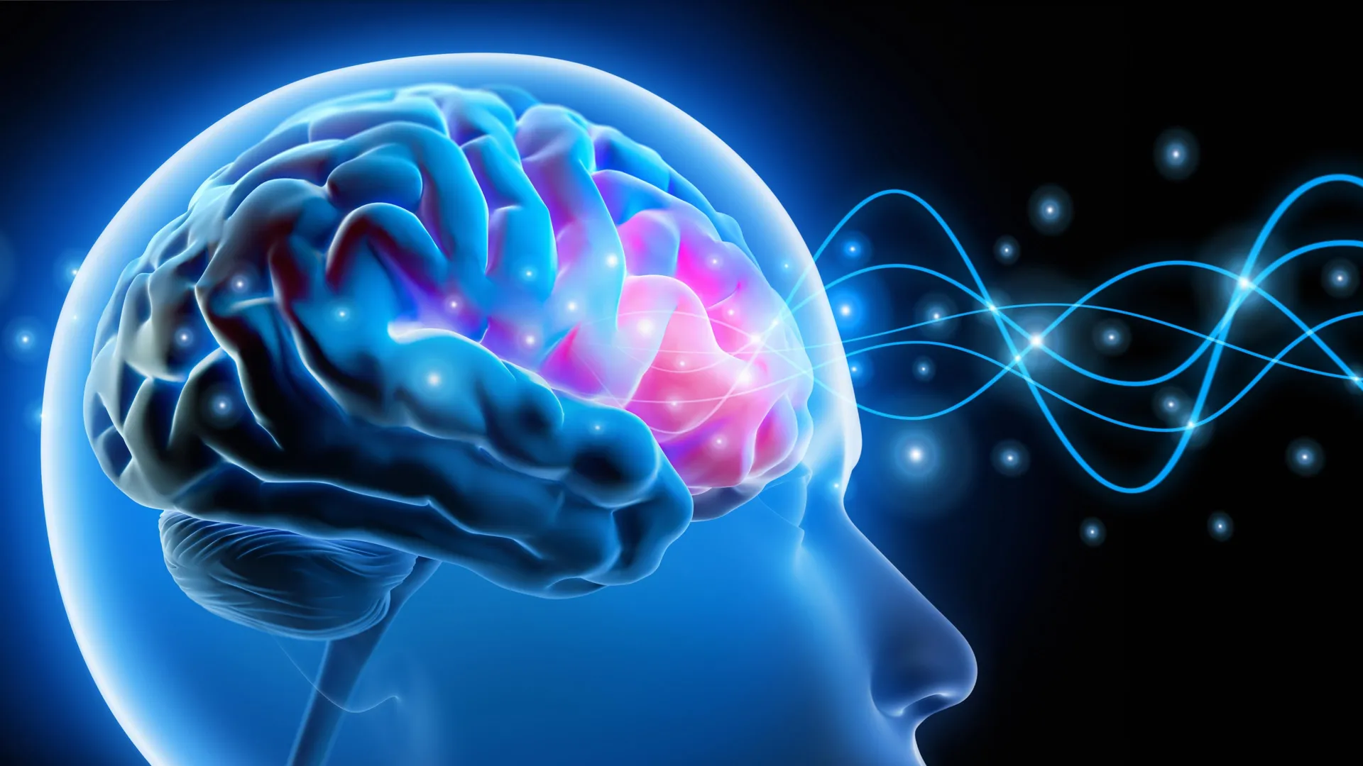 Cientistas Reversam a Ansiedade ao Corrigir um Pequeno Circuito Cerebral