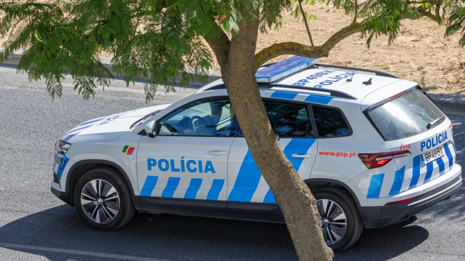 "Dejetos de Animais e Lixo: O Descaso em Santarém"