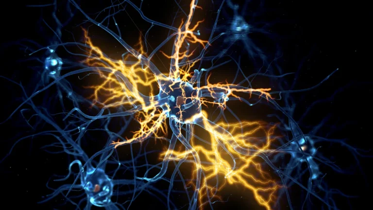 Organoides humanos revelam como reverter danos nervosos "irreversíveis"