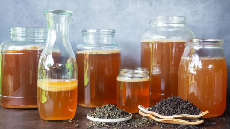 O chá no seu kombucha muda mais do que apenas o sabor