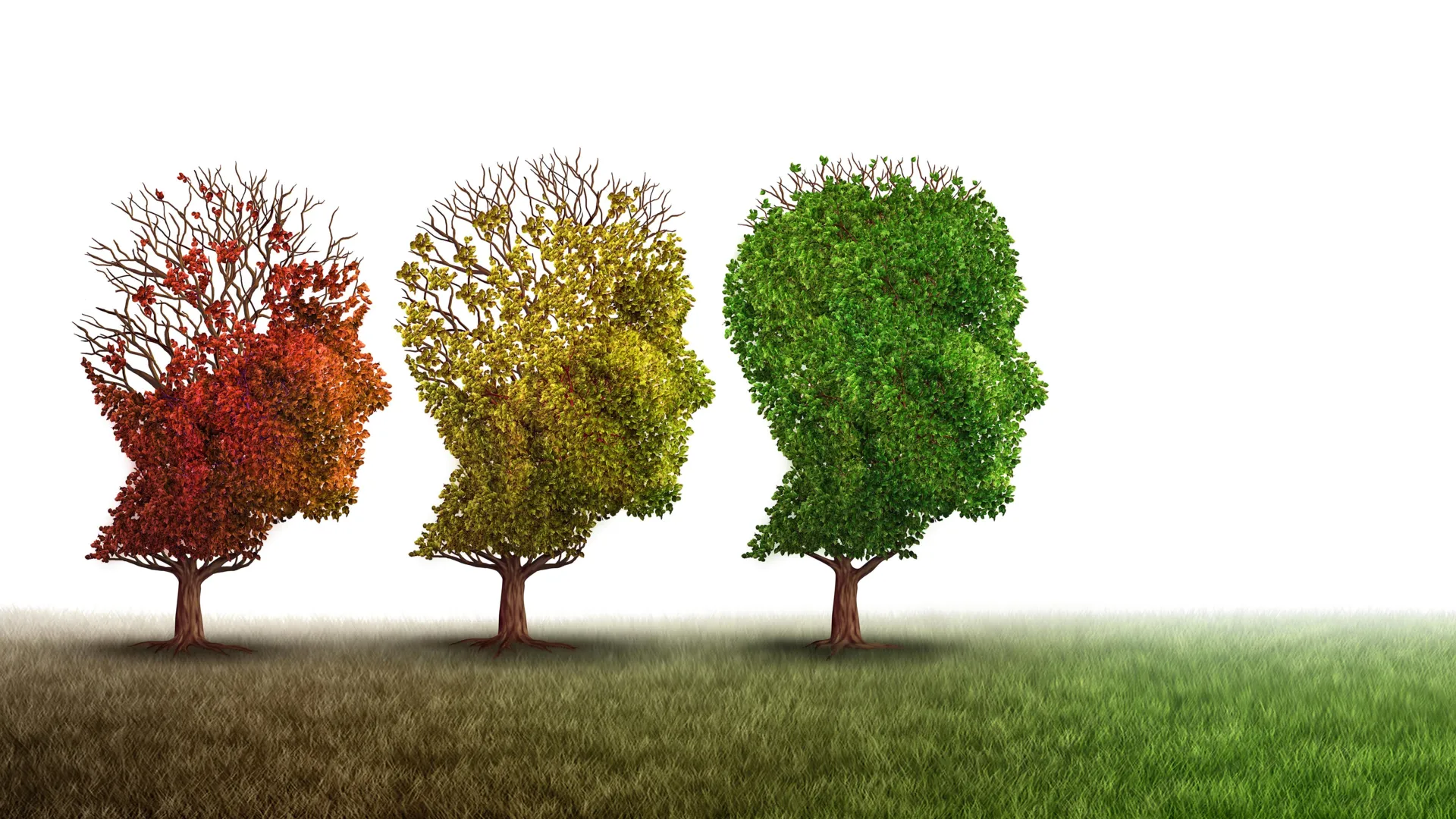 Droga de cobre limpa proteínas tóxicas do Alzheimer e restaura memória